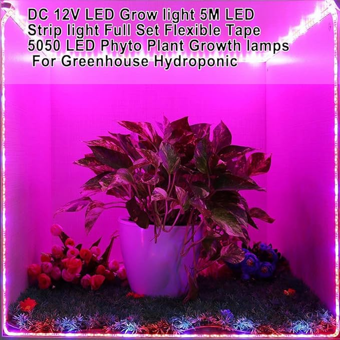DC 12V LED Grow Light 5M LED Strip Light Full Set Flexible Tape 5050 LED Phyto Plant Growth Lamps for Greenhouse Hydroponic Plant Light (4：1 Full Set, IP65 Waterproof)