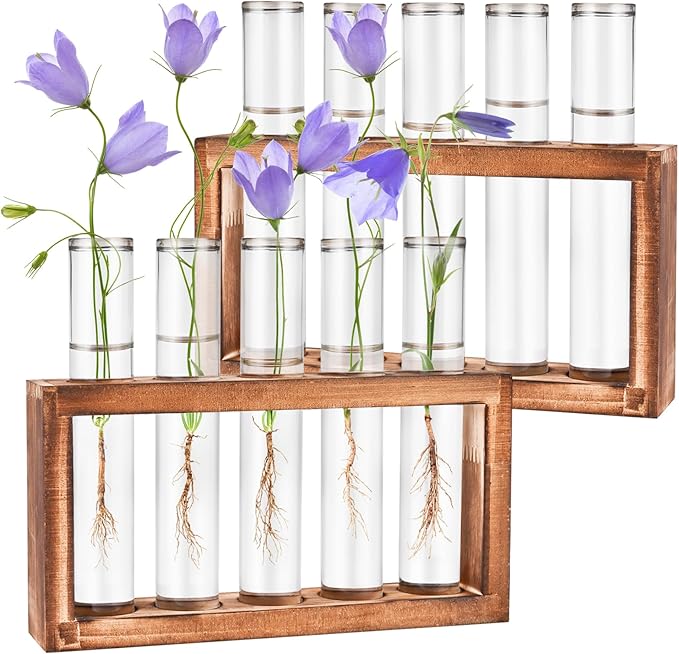 Tigvio 2pcs Desktop Glass Plant Propagation Station with 10 Test Tubes in Wooden Stand - Hydroponic Plants Cutting Office Home Decoration and Garden Decor Terrarium (10 Tubes)