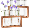 Tigvio 2pcs Desktop Glass Plant Propagation Station with 10 Test Tubes in Wooden Stand - Hydroponic Plants Cutting Office Home Decoration and Garden Decor Terrarium (10 Tubes)