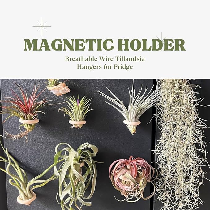 15-Pack Magnetic Air Plant Holders, Breathable Wire Tillandsia Hangers for Fridge & Metal Wall, Modern Miniature Plant Display Rings for DIY Fairy Gardens and Home Decor (2.2 Inch)