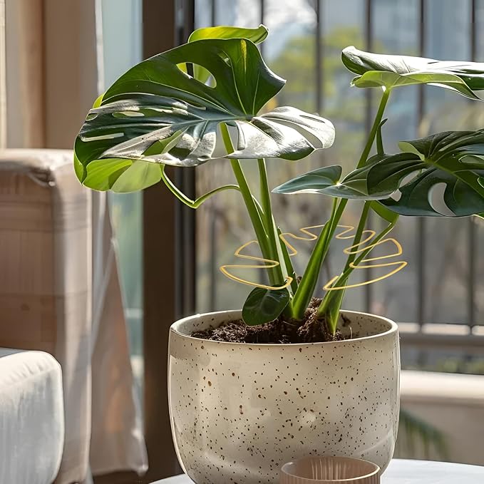 Jiozermi 6PCS Golden Monstera Plant Support, Elegant Metal Plant Stem Support Stakes for Indoor Plants, Durable and Stylish Accessories for Healthy Growth and Stability