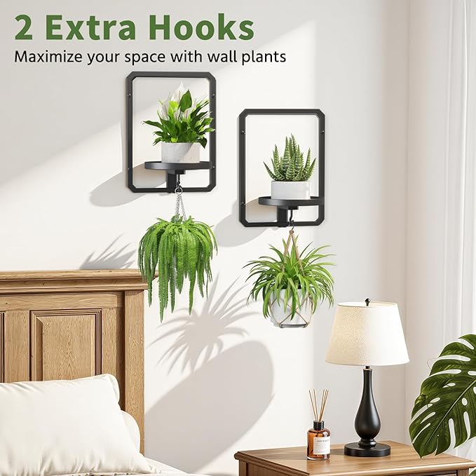 LASZOLA Plant Hangers Holder Wall Mount for Indoor Window, 3 Pack Floating Flower Stand Shelf with Hooks, Metal Picture Frame Hanging Planter Display Decor for Kitchen Bathroom, Black