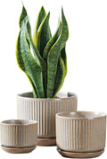 SURE YUESI Speckle Gray Ceramic Plant Pots Set of 3 (4.3”+5.5”+6.7”) Indoor Striped Planters with Drainage Hole, Saucer Pad, Decorative Pots for Plants & Gardening