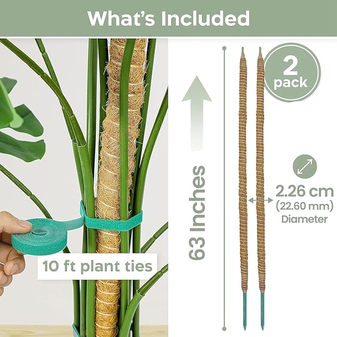 2 Pack 63'' Bendable Moss Pole Monstera Plant Support for Large Climbing Indoor Plants - Stakes for Potted Climbers - Tall Sticks Indoor Trellis for Houseplants - Accessories for Monstera Pot
