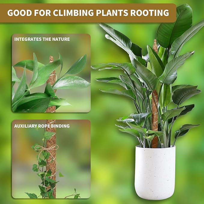 3 Pack Moss Pole Monstera Plant Support, 28 Inch Bendable Moss Poles for Climbing Plants with 20 FT Jute Ropes, Coco Coir Moss Pole Kit Support for Indoor Potted Plants, Pothos, Philodendron