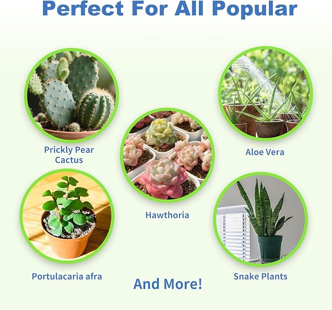 Succulent and Cactus Soil Potting Mix 1qt-Premium Breathable & Fast Draining for Healthy Plants