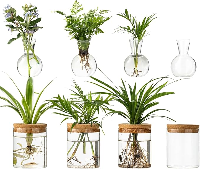 Plant Propagation Stations, 2 Style Glass Planter Terrariums, Propagation Vases for Plant, Plant Propagation Jars for Hydroponic Planter Home Office Tabletop Decoration (8)