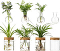 Plant Propagation Stations, 2 Style Glass Planter Terrariums, Propagation Vases for Plant, Plant Propagation Jars for Hydroponic Planter Home Office Tabletop Decoration (8)