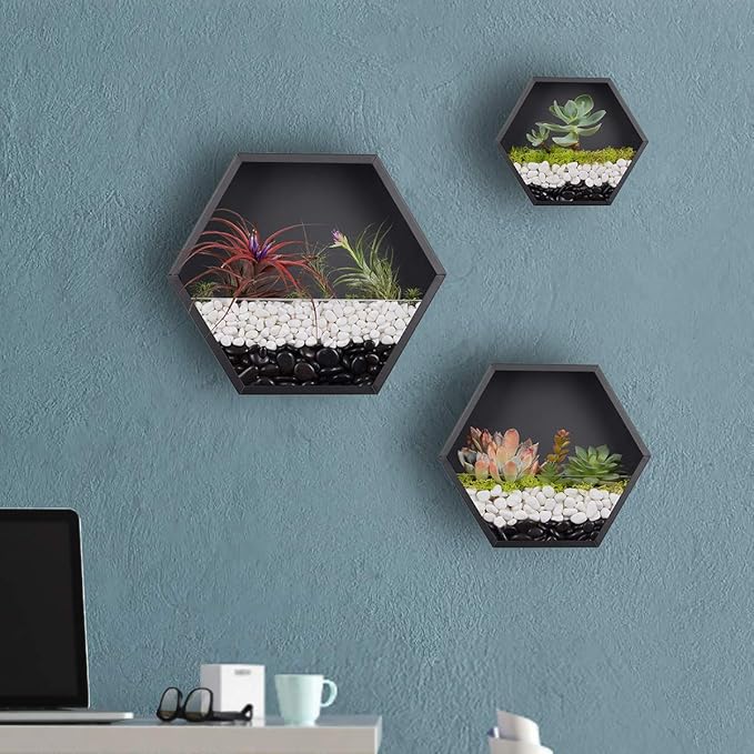Mixed 3 Iron Honeycomb Wall Planter Indoor, Hexagon Wall Hanging Planter, Geometric Terrarium, Wall Vase Florarium, Metal Planter for Wall Decor, Hanging Terrarium (Black)