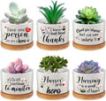 Potchen 6 Pcs Best Nurse Ever Gifts Nurses Day Gifts Nurse Appreciation Gifts Nurses Week Gifts Nurse Graduation Nurse Practitioner Gifts Succulent Plant Pot Gifts Set for Women (Nurse Style)