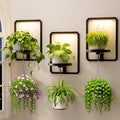 LASZOLA Plant Hangers Holder Wall Mount Indoor Window with 3 Grow Light, 3 Pack Floating Flower Stand Shelf with Hooks, Metal Picture Frame Hanging Planter Display Decor for Kitchen Bathroom, Black