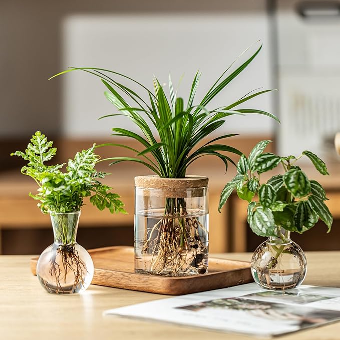 Plant Propagation Stations, 2 Style Glass Planter Terrariums, Propagation Vases for Plant, Plant Propagation Jars for Hydroponic Planter Home Office Tabletop Decoration (12)