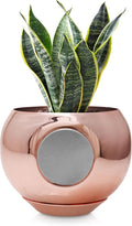 Magnetic Plant Pot - Unique Window Planter for Succulents, Indoor & Outdoor Greenery - Self-Adhesive Magnet Attachment, Drainage Holes, Detachable Reservoir - Rose Gold