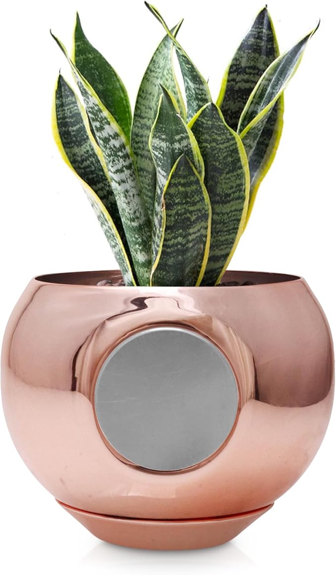 Magnetic Plant Pot - Unique Window Planter for Succulents, Indoor & Outdoor Greenery - Self-Adhesive Magnet Attachment, Drainage Holes, Detachable Reservoir - Rose Gold