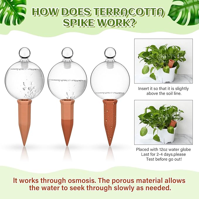 Teenyyou 3 Set Glass Self Watering Globes with Terracotta Self Watering Spike 12 oz Large Glass Waterer Bulbs Automatic Water Planter Insert Plant Water Device for Indoor Outdoor Plant(Clear,Classic)