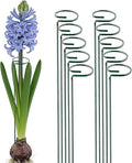 10 Pieces 16 inch Green Single Stem Plant Stakes Garden Plant Support Rings Flower Support Hoops Prop for Amaryllis Orchid Lily Rose Peony