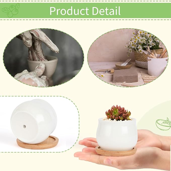 SHECIPIN 2 Pack Succulent Pots, 2.5 Inch Mini Ceramic Pots for Flower or Cactus Plants with Drainage Hole,Plants Not Included (White)