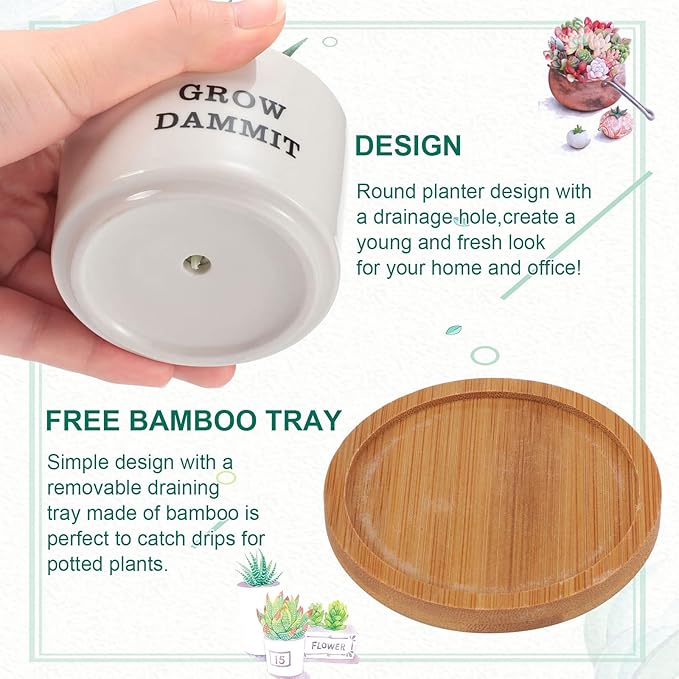 Potchen 6 Pcs Funny Succulent Pots Set Best Teacher Gifts Cute Ceramic Succulent Planters with Bamboo Tray Employee Appreciation Gifts for Women, Nurses, Birthday