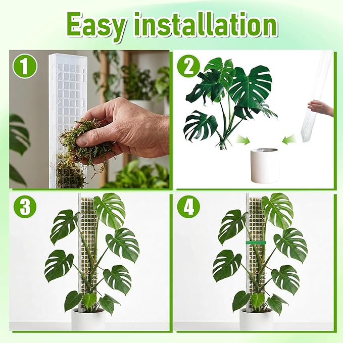 6 Pcs 24 Inch Plastic Moss Pole for Plants Monstera, D Shaped Moss Pole, Plant Poles for Climbing Plants, Plant Support for Indoor Plant Work with Sphagnum