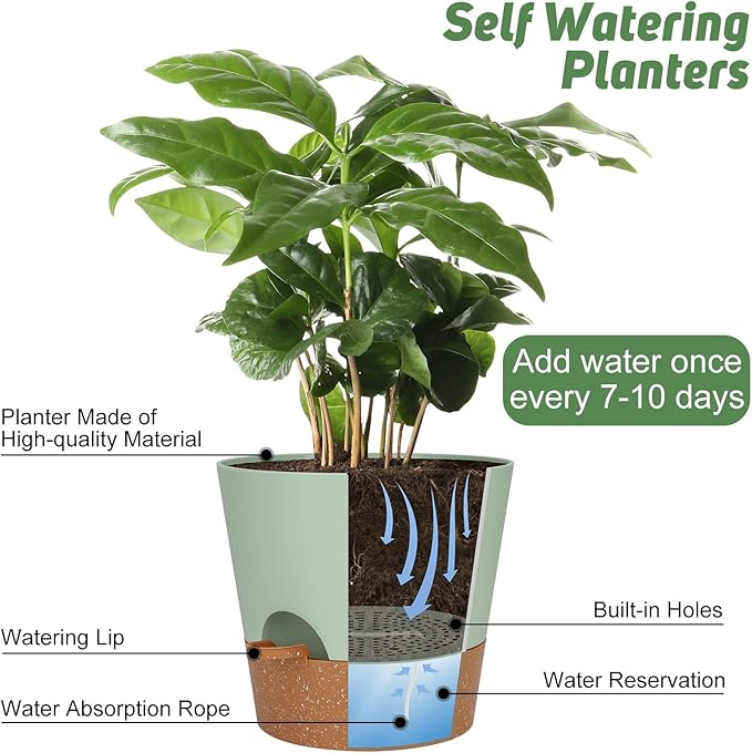 YNNICO 10-Inch Plant Pots, Self-Watering Planters with Drainage Holes & Saucers for Indoor and Outdoor Plants (2-Pack, Green)