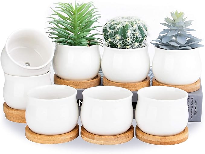 SHECIPIN Succulent Plant Pot, White Mini 2.6 inch Ceramic Flower Planter Pot with Bamboo Tray, Pack of 8 - Plants Not Included