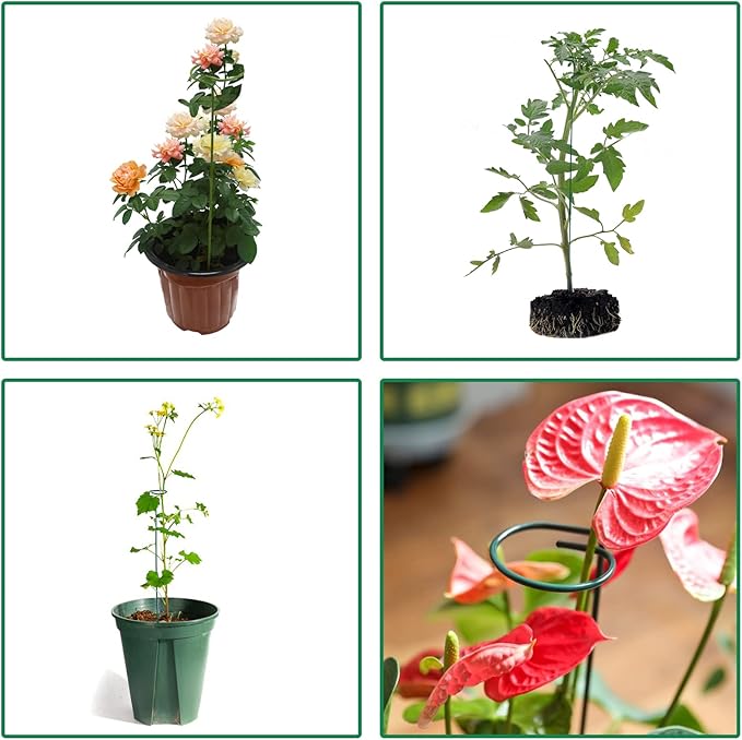 PFNRTH 8 Pack Plant Stakes,Plant Support Stakes for Two Sizes(16 or 32 Inches),Plant Stakes for Outdoor Plants,Garden Flower,Tomato(Green)