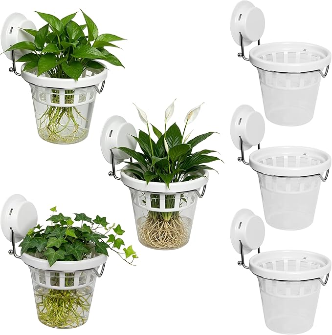 6 Pcs Window Propagation Stations Plastic Wall Hanging Planter with Suction Cup Holder Window Mounted Plant for Hydroponics Plants, Home, Office, Bathroom, Living Room Decor and Any Smooth Surface
