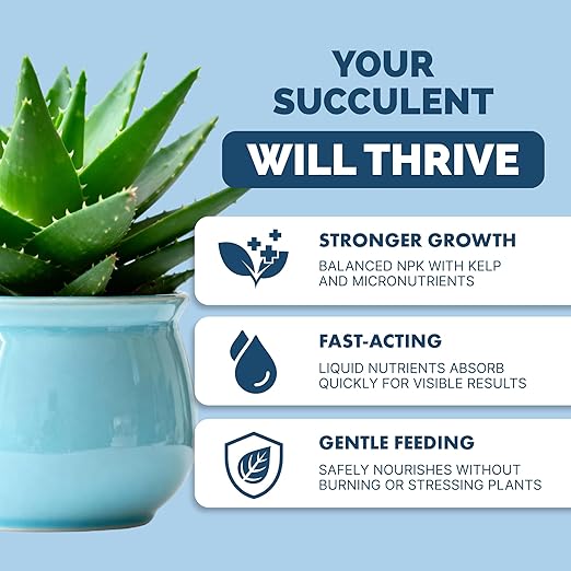 Succulent Fertilizer – Liquid Plant Food for Compact Growth, Vibrant Color & Stronger Root Development, 32 oz