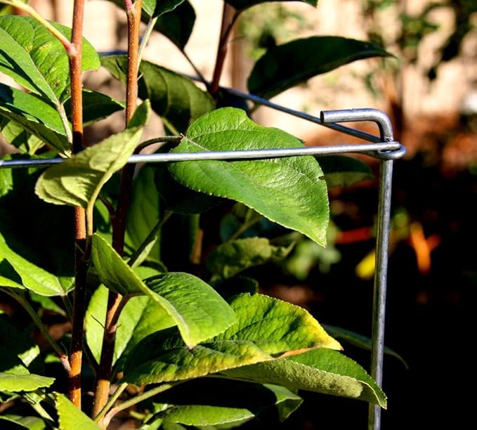46" Height 12" Width 2PCS Galvanized Square Folding Tomato Cage,Plant Support Stake Tower