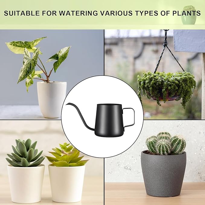 12 oz / 350 ml Small Watering Can Indoor Plants, Stainless Steel Plant Watering Can with Long Spout (Black) (12oz)