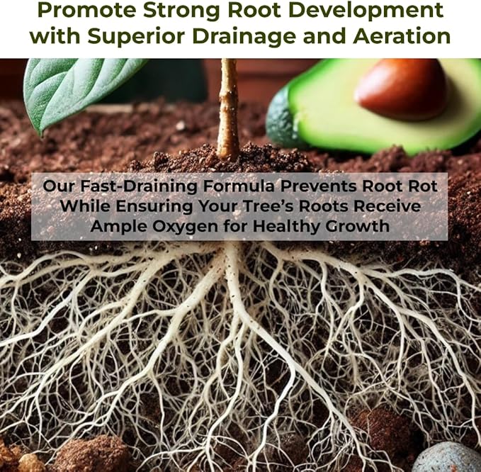GARDENWISE Avocado Tree Soil – Premium Organic Potting Mix for Avocado Trees | Tailored pH & Organic Nutrients | Fast-Draining & Moisture-Retaining | Indoor & Outdoor Use (5 QUARTS)