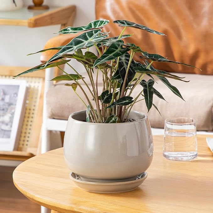 vancasso 3-Pack Ceramic Plant Pots, 3.7/4.8/6.2 Inch Indoor Planters with Saucers & Drainage Hole Planter pots for Indoor Plants and Flower, Gray
