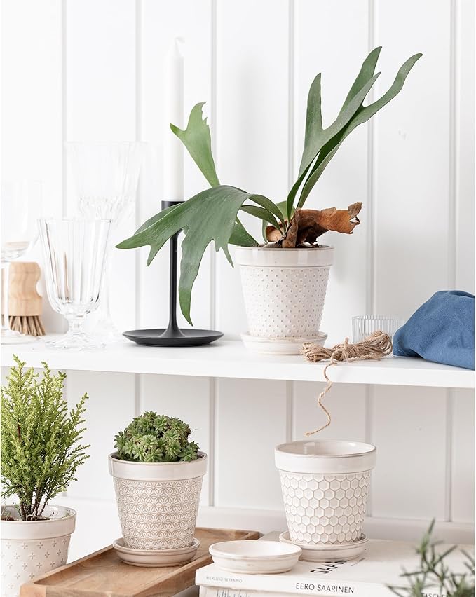 Ceramic Succulent Pots with Drainage Hole & Saucer, 4 Inch Small Plant Pots, Ceramic Planter for Indoor Plants, Embossed Flower Pots, Home Decor, Set of 4, Off-White