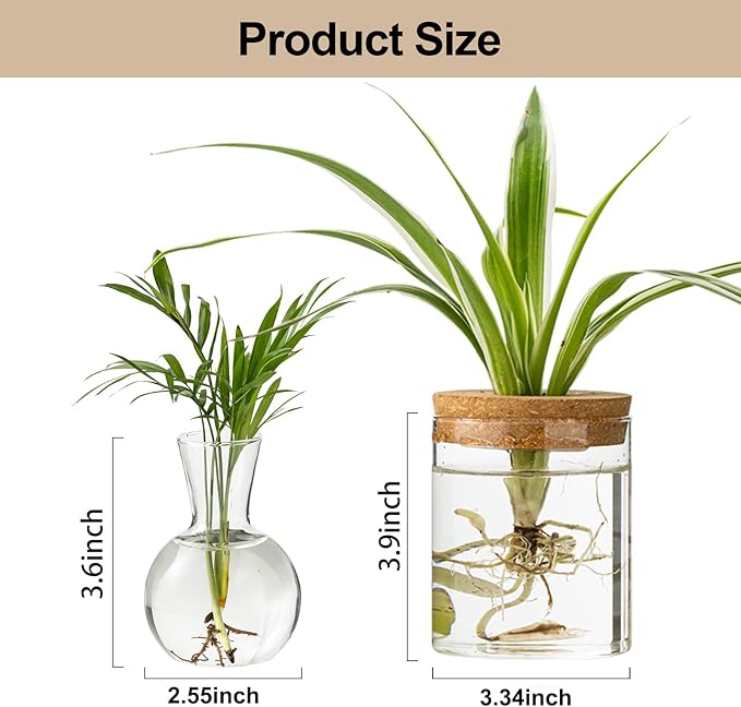 Plant Propagation Stations, 2 Style Glass Planter Terrariums, Propagation Vases for Plant, Plant Propagation Jars for Hydroponic Planter Home Office Tabletop Decoration (8)