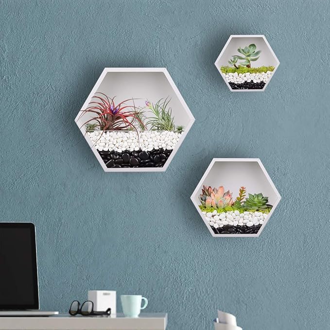Hanging Hexagon Planter Wall-Mounted Flower Pot Hanging Basket Metal Vase Air Plant Holder Vintage Flower Pot Geometric Planter Succulent Cactus Container (M,White)