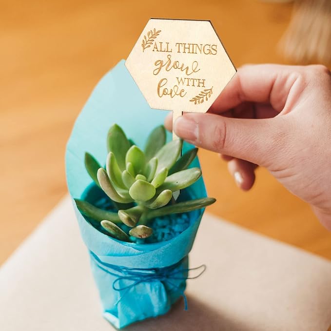 AnyDesign 30 Pcs All Things Grow with Love Labels Succulent Tags Hexagon Wooden Plant Stakes Labels Garden Marker Plant Sign for Seed Potted Teacher Appreciation Gift Thanksgiving Baby Shower