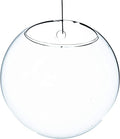 WGV Wall Hanging Planter Terrarium, Diameter 6", Clear Mounted DIY Succulents Air Glass Floral Container Vase, Tea Light Votive Candle Holder for Decoration 1 Piece