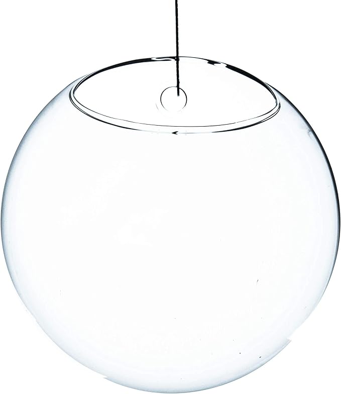 WGV Wall Hanging Planter Terrarium, Diameter 6", Clear Mounted DIY Succulents Air Glass Floral Container Vase, Tea Light Votive Candle Holder for Decoration 1 Piece