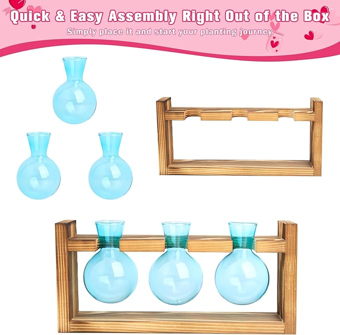 XXXFLOWER Upgraded Glass Plant Mister Spray+3 Blue Bulb Glass Propagation Station