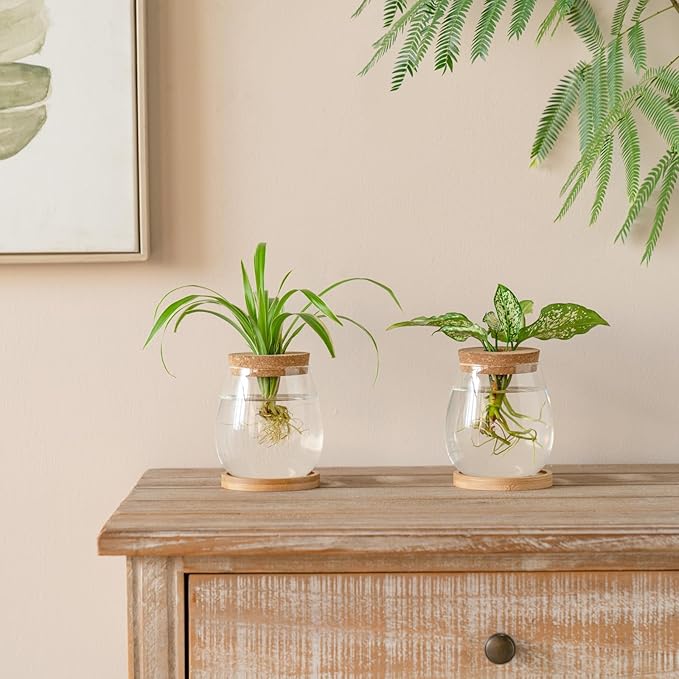 Dahey Plant Propagation Jars Plant Terrarium Glass Vase with Wooden Saucer and Cork Planter Station for Growing Hydroponic Plants Indoor Table Centerpirce Home Office Decor, Set of 2