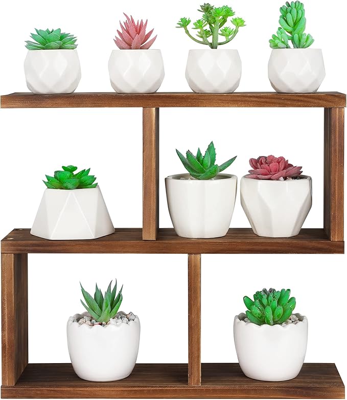 Jotsport Window Sill Plant Stand Small Wood Plant Shelf for Succulents 3 Tier Tabletop Desktop Plant Dislay Rack