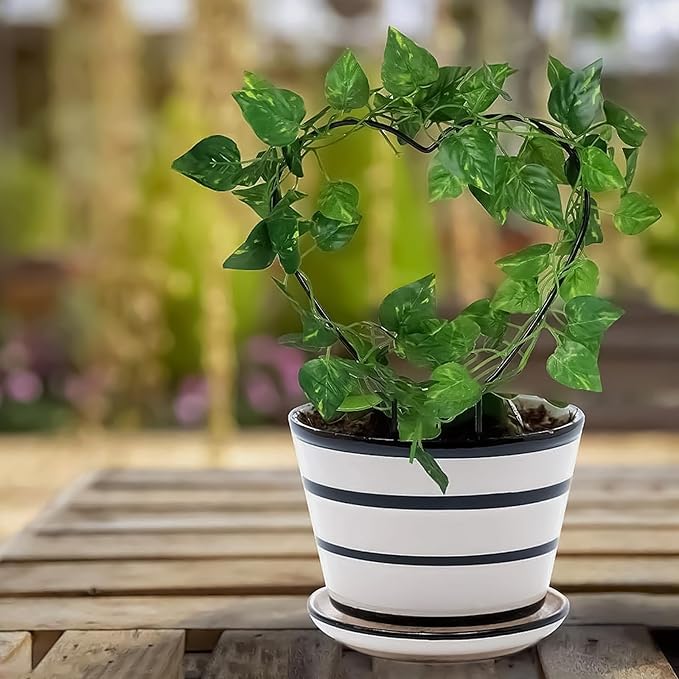 2 PCS Heart Shaped Plant Trellis Indoor with 100 Plant Twist Tie, Iron Heart Trellis for Indoor Climbing Plants Vine Stem Support Hearts Wire, Houseplant Hearts Trellis for Potted Plants