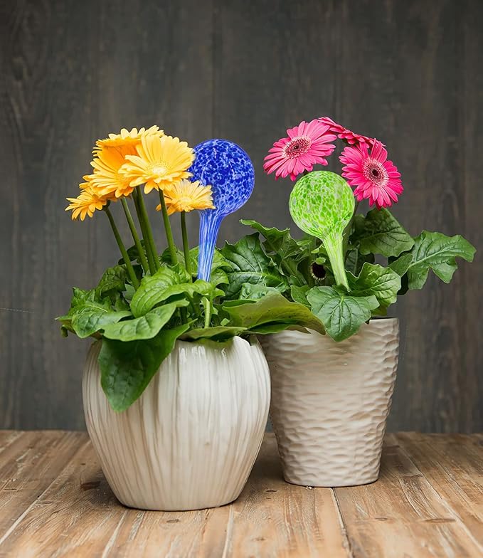 5 STAR SUPER DEALS Aqua Plant Watering Globes - Automatic Watering Ball Bulbs - Self Watering Plant Glass Bulbs System (8, 4 Small & 4 Large)
