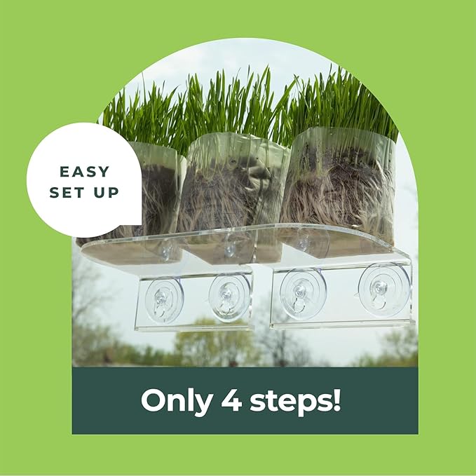 Window Garden Double Veg Ledge - Window Shelf for Plants, Clear Acrylic Shelves - Suction Cup Indoor Plant Holder - Glass Window Sill Extender for Microgreens Kit, Seed Starter Pots, Planters (2 Pack)