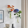 2 Piece Hanging Glass Wall Vase Set, Iron Metal Plant Stand with Clear Borosilicate Glass Tubes, Creative Wall Mount Vase for Flowers, Air Plants, Home Office Wedding Decoration
