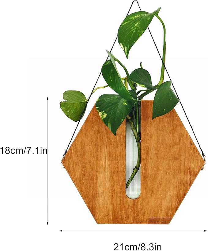 Firlar Premium Wall Mounted Propagation Station Wall Hanging Planter Tubes, Wooden Base Glass Plant Pots Plant Terrarium, Indoor Wall Vases for Modern Living Office Spaces(Brown)