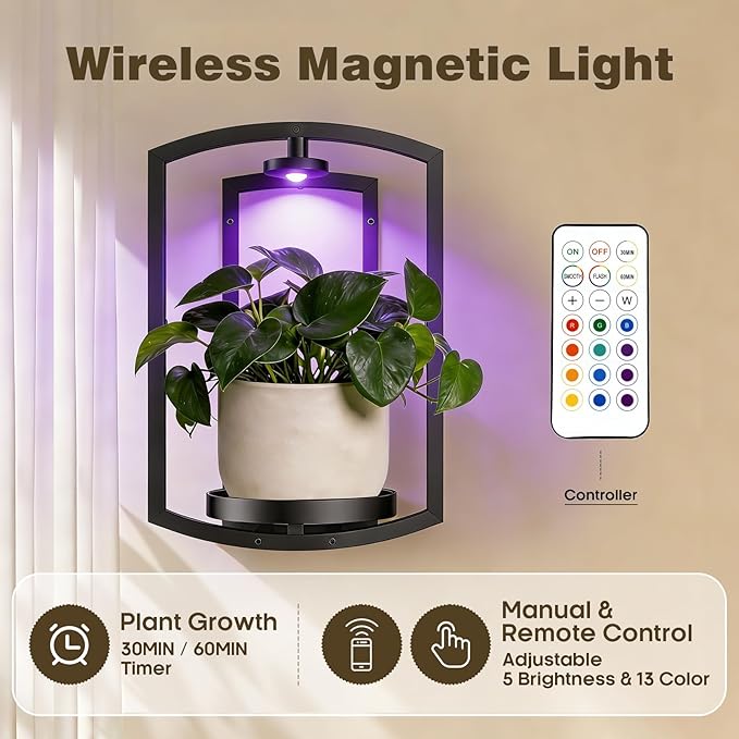 Aisdan Wall Plant Holder, Wall Planters for Indoor Plants with Wireless Remote Lights, Frame Plant Wall Shelves Wall Mounted Plant Holder for Living Room, 2 Pack