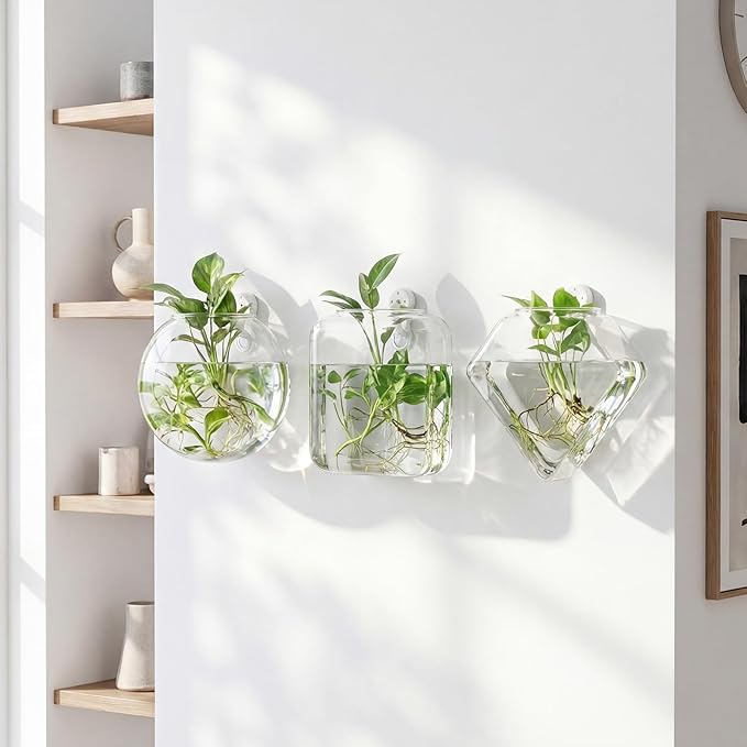 LemonRoad 6 Pcs Wall Hanging Glass Wall Hanging Planter Propagation Station Terrariums Clear Glass Vase Container for Hydroponic Plant Home Office Living Room Bathroom Garden Decor
