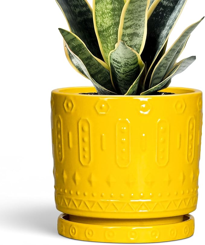 Eightpot 6 Inch Pots for Plants, Ceramic Pots for Plants with Drainage Holes and Tray, Round Planter for Indoor Outdoor, Modern Plant Pot, Decorative Flower Pot, Table Decor, Teacher Gift, Yellow