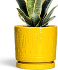 Eightpot 6 Inch Pots for Plants, Ceramic Pots for Plants with Drainage Holes and Tray, Round Planter for Indoor Outdoor, Modern Plant Pot, Decorative Flower Pot, Table Decor, Teacher Gift, Yellow